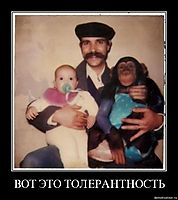 ВОТ ЭТО ТОЛЕРАНТНОСТЬ 