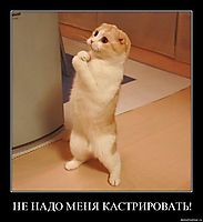 НЕ НАДО МЕНЯ КАСТРИРОВАТЬ! 