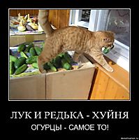 ЛУК И РЕДЬКА - ХУЙНЯ ОГУРЦЫ - САМОЕ ТО!