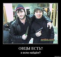ОВЦЫ ЕСТЬ? а если найдём?