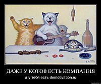 ДАЖЕ У КОТОВ ЕСТЬ КОМПАНИЯ а у тебя есть demotivation.ru