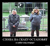 СЛОНА НА СКАКУ ОСТАНОВЯТ и хобот ему оторвут