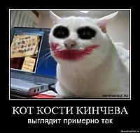 КОТ КОСТИ КИНЧЕВА выглядит примерно так