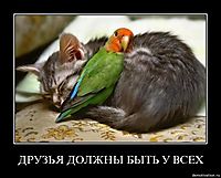 ДРУЗЬЯ ДОЛЖНЫ БЫТЬ У ВСЕХ 