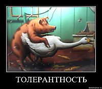 ТОЛЕРАНТНОСТЬ