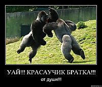 УАЙ!!! КРАСАУЧИК БРАТКА!!! от души!!!