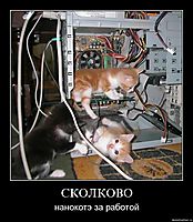 СКОЛКОВО нанокотэ за работой