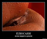 ПЛЮСАНИ если видел в реале