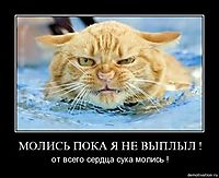 МОЛИСЬ ПОКА Я НЕ ВЫПЛЫЛ ! от всего сердца сука молись !