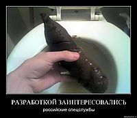 РАЗРАБОТКОЙ ЗАИНТЕРЕСОВАЛИСЬ российские спецслужбы