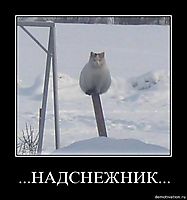 ...НАДСНЕЖНИК... 