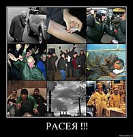 РАСЕЯ !!! 