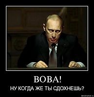 ВОВА! НУ КОГДА ЖЕ ТЫ СДОХНЕШЬ?
