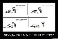 ОТКУДА ВЗЯЛАСЬ ЛИШНЯЯ КЛЕТКА?! 