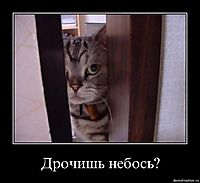 Дрочишь небось? 