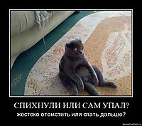 СПИХНУЛИ ИЛИ САМ УПАЛ? жестоко отомстить или спать дальше?
