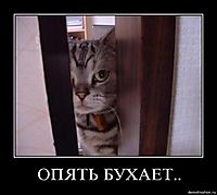ОПЯТЬ БУХАЕТ.. 