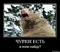 ЧУРКИ ЕСТЬ а если найду?