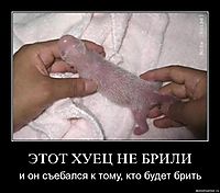 ЭТОТ ХУЕЦ НЕ БРИЛИ и он съебался к тому, кто будет брить