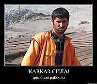 КАВКАЗ-СИЛА! дешёвая рабочая