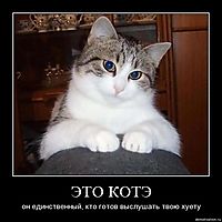 ЭТО КОТЭ он единственный, кто готов выслушать твою хуету