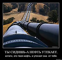 ТЫ СИДИШЬ-А НЕФТЬ УТЕКАЕТ. кстати, это твоя нефть. и утекает она  от тебя.
