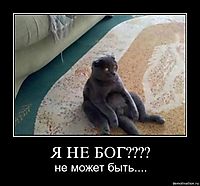 Я НЕ БОГ???? не может быть....