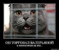ОН ТОРГОВАЛ ВАЛЕРЬЯНОЙ и поплатился за это...