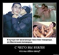С ЧЕГО ВЫ ВЗЯЛИ что мы ебём овец?