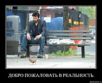 ДОБРО ПОЖАЛОВАТЬ В РЕАЛЬНОСТЬ. 