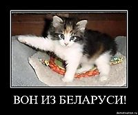 ВОН ИЗ БЕЛАРУСИ! 
