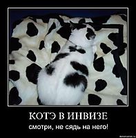 КОТЭ В ИНВИЗЕ смотри, не сядь на него!