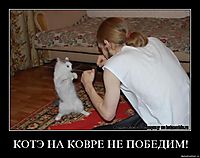 КОТЭ НА КОВРЕ НЕ ПОБЕДИМ! 