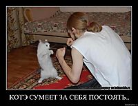КОТЭ СУМЕЕТ ЗА СЕБЯ ПОСТОЯТЬ.. 