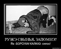 РУЗКЭ СВЫНЬЯ, ЗАПОМНЭ? Йа -БОРСУХА! КАЛКАЗ- силос!