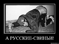 А РУССКИЕ-СВИНЬИ! 