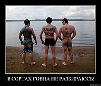 В СОРТАХ ГОВНА НЕ РАЗБИРАЮСЬ! 