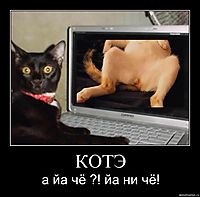 КОТЭ а йа чё ?! йа ни чё!