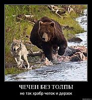 ЧЕЧЕН БЕЗ ТОЛПЫ не так храбр четок и дерзок