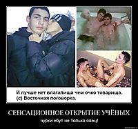 СЕНСАЦИОННОЕ ОТКРЫТИЕ УЧЁНЫХ чурки ебут не только овец!