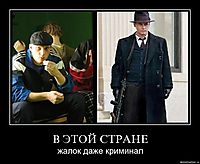 В ЭТОЙ СТРАНЕ жалок даже криминал