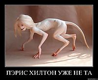 ПЭРИС ХИЛТОН УЖЕ НЕ ТА 