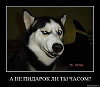 А НЕ ПИДАРОК ЛИ ТЫ ЧАСОМ? 