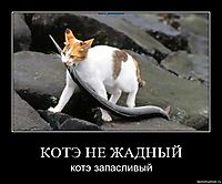 КОТЭ НЕ ЖАДНЫЙ котэ запасливый