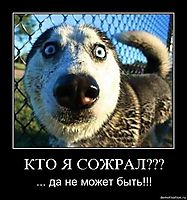 КТО Я СОЖРАЛ??? ... да не может быть!!!