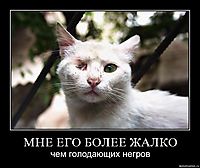 МНЕ ЕГО БОЛЕЕ ЖАЛКО чем голодающих негров