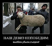 НАШ ДЕВИЗ НЕПОБЕДИМ: выебем,убьем,съедим!