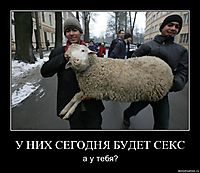 У НИХ СЕГОДНЯ БУДЕТ СЕКС а у тебя?