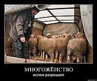 МНОГОЖЁНСТВО ислам разрешает