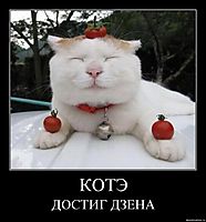 КОТЭ ДОСТИГ ДЗЕНА